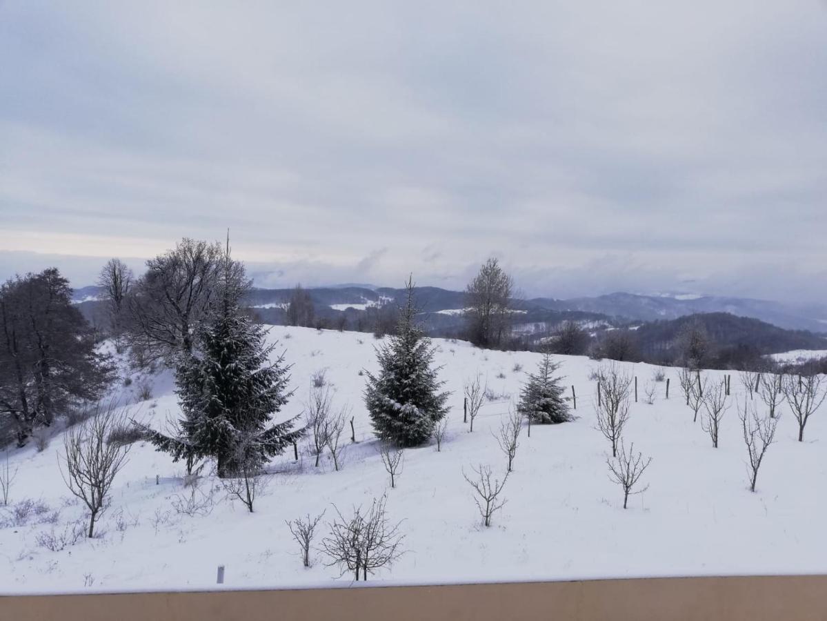 Pensiune Runcu Stone Bagian luar foto