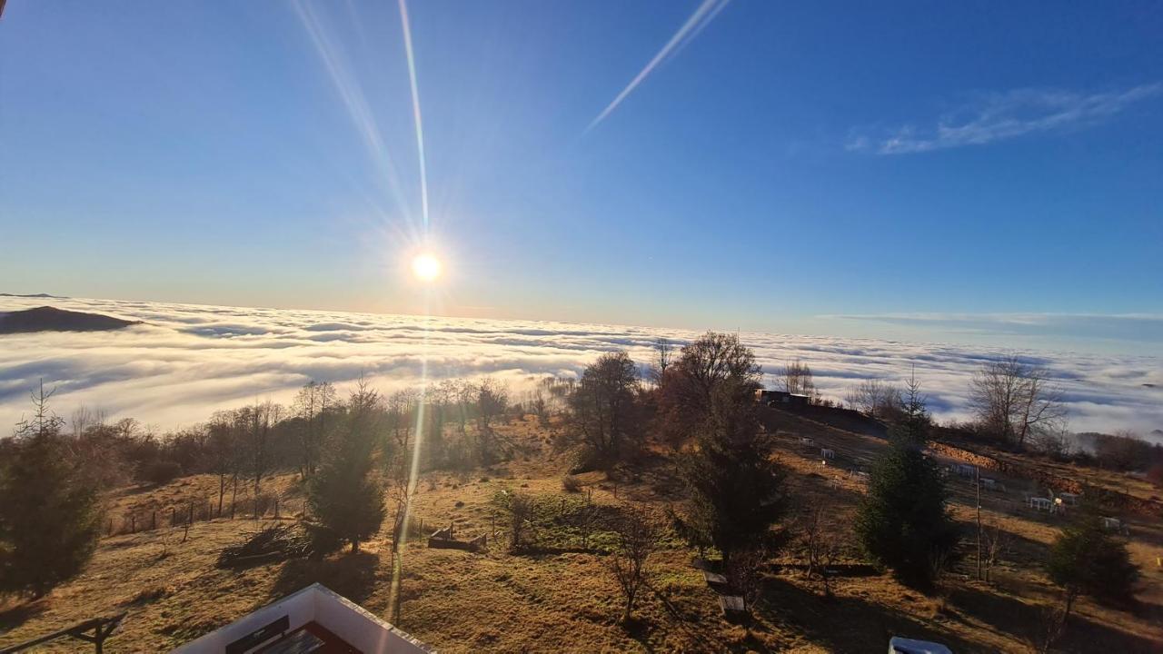 Pensiune Runcu Stone Bagian luar foto
