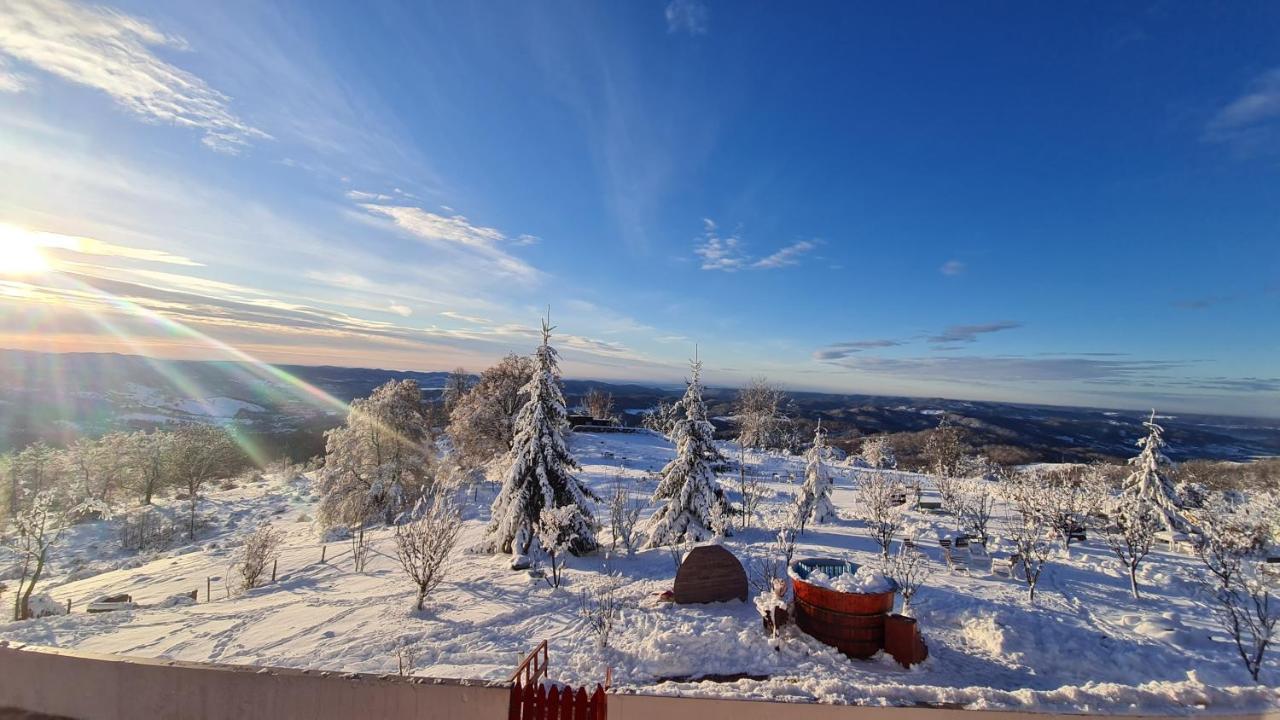 Pensiune Runcu Stone Bagian luar foto