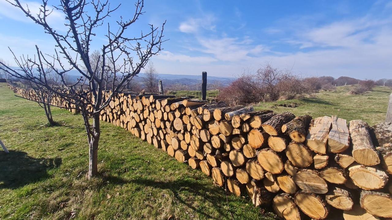 Pensiune Runcu Stone Bagian luar foto