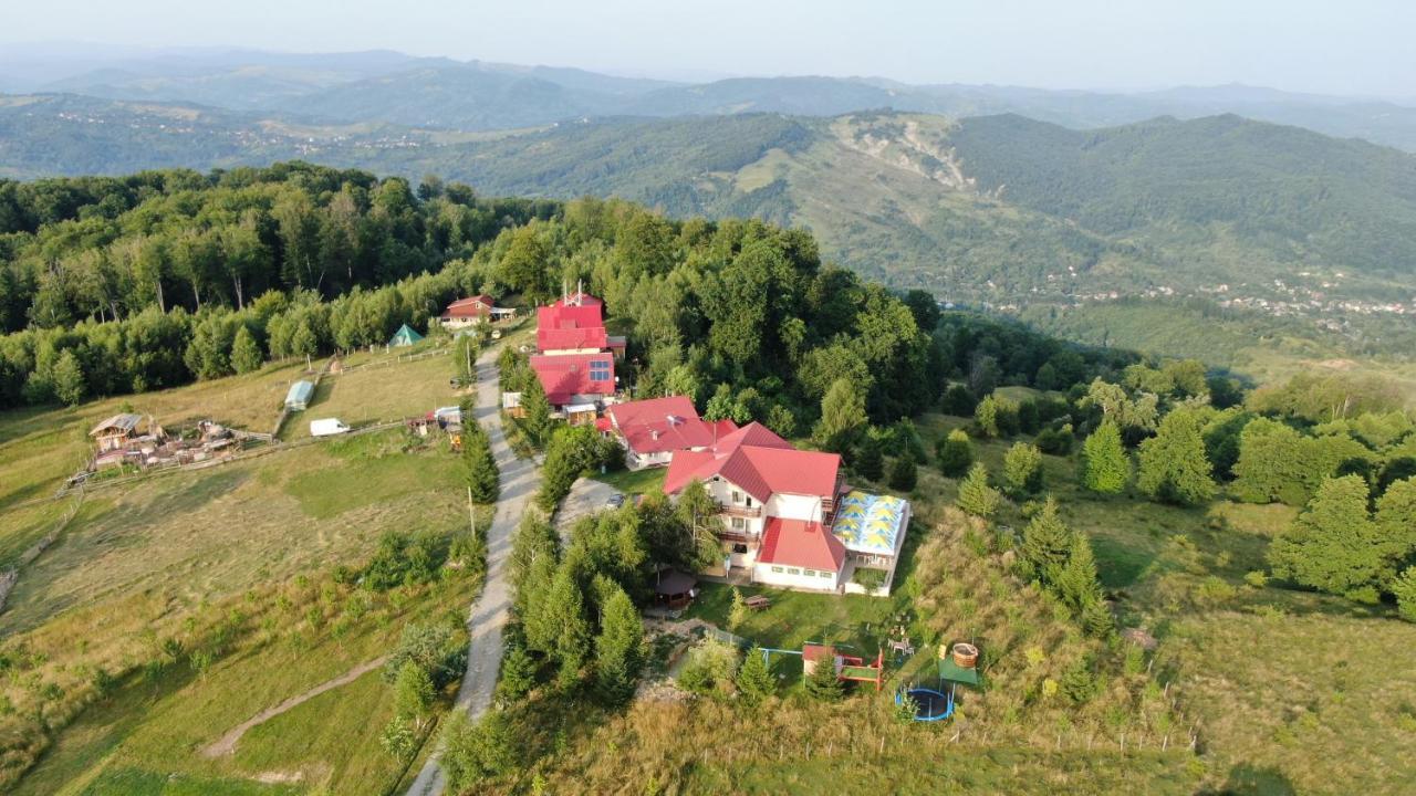 Pensiune Runcu Stone Bagian luar foto