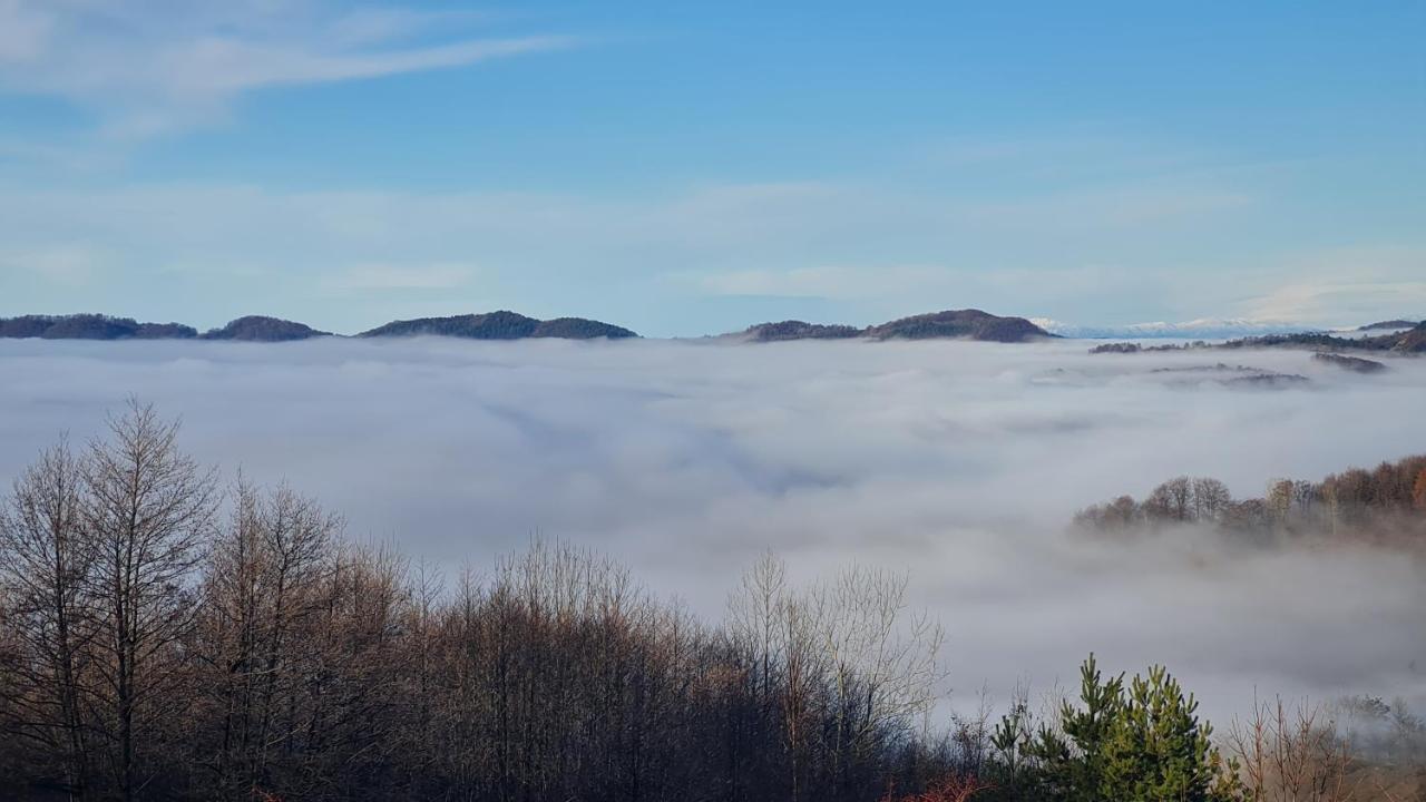 Pensiune Runcu Stone Bagian luar foto